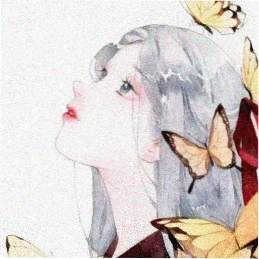 老片修复师的头像